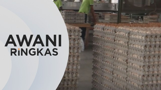 AWANI Ringkas: Selepas ayam, peruncit berdepan isu kekurangan bekalan telur