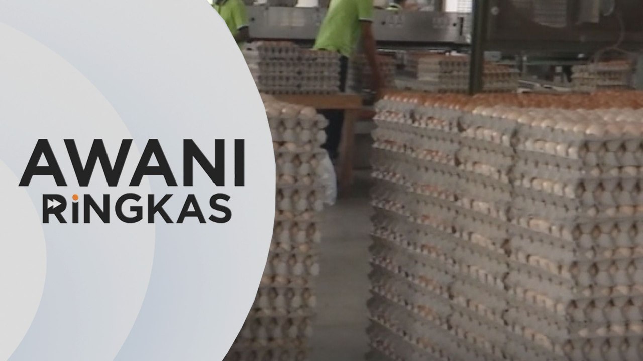 AWANI Ringkas: Selepas ayam, peruncit berdepan isu kekurangan bekalan telur