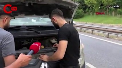 İstanbul TEM'de sürücülerin kedi kurtarma seferberliği