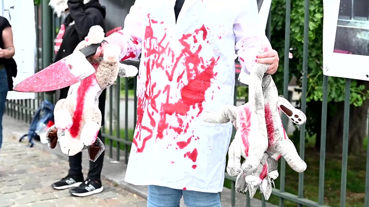 Le comité wallon de concertation des animaux d'expérience contesté à Namur