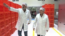 Antalya Büyükşehir Belediyesi Halk Ekmek Fabrikası, Üretime Başladı