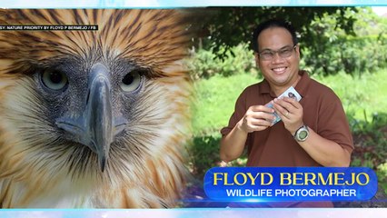 Amazing Earth: Ang litrato ng Philippine eagle sa PhP 1000 bill | Teaser Ep. 211