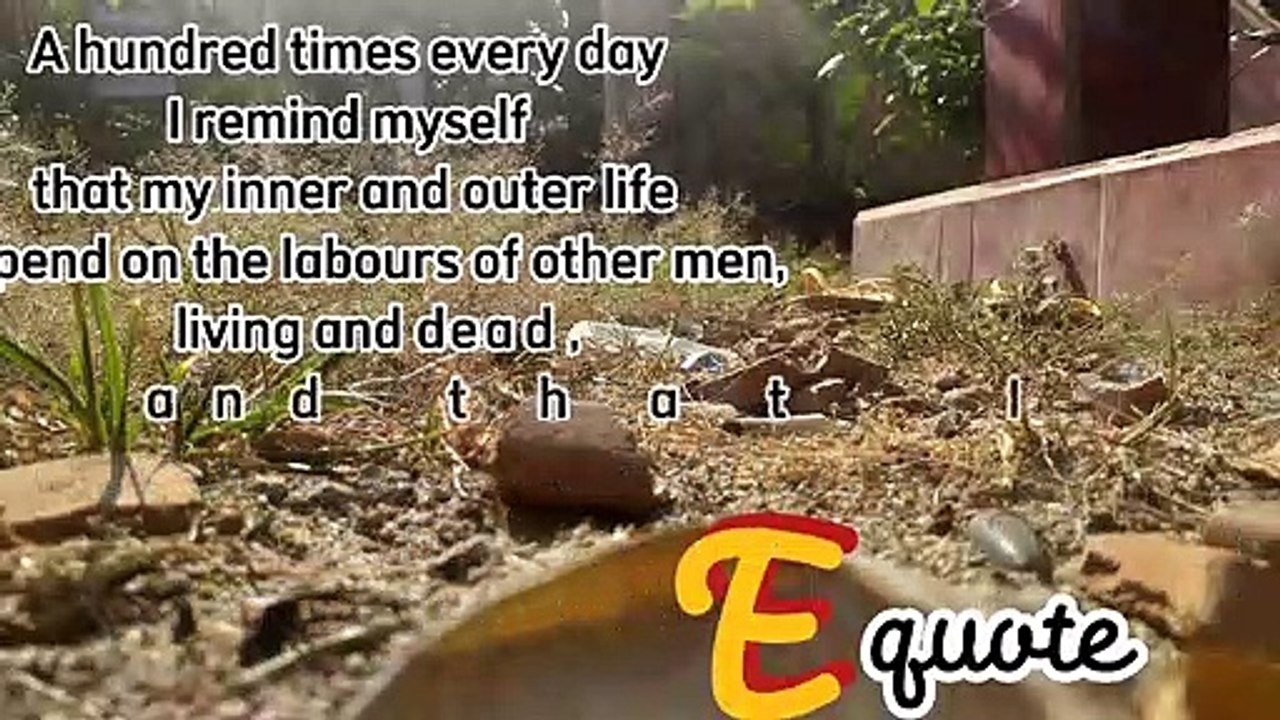 Quotes albert einstein