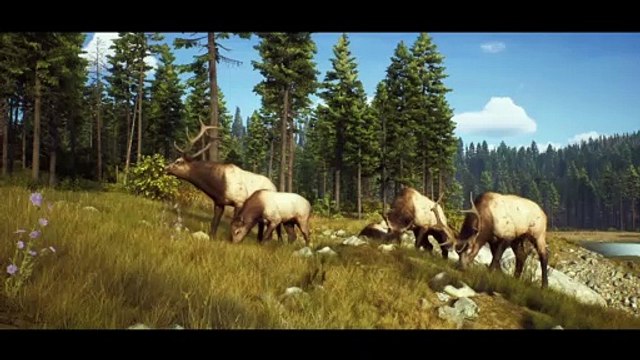 Way of the Hunter - Animals of the Pacific Northwest Trailer
