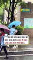 Ấm áp hình ảnh cậu bé học sinh đứng che ô cho chú mèo dưới trời mưa
