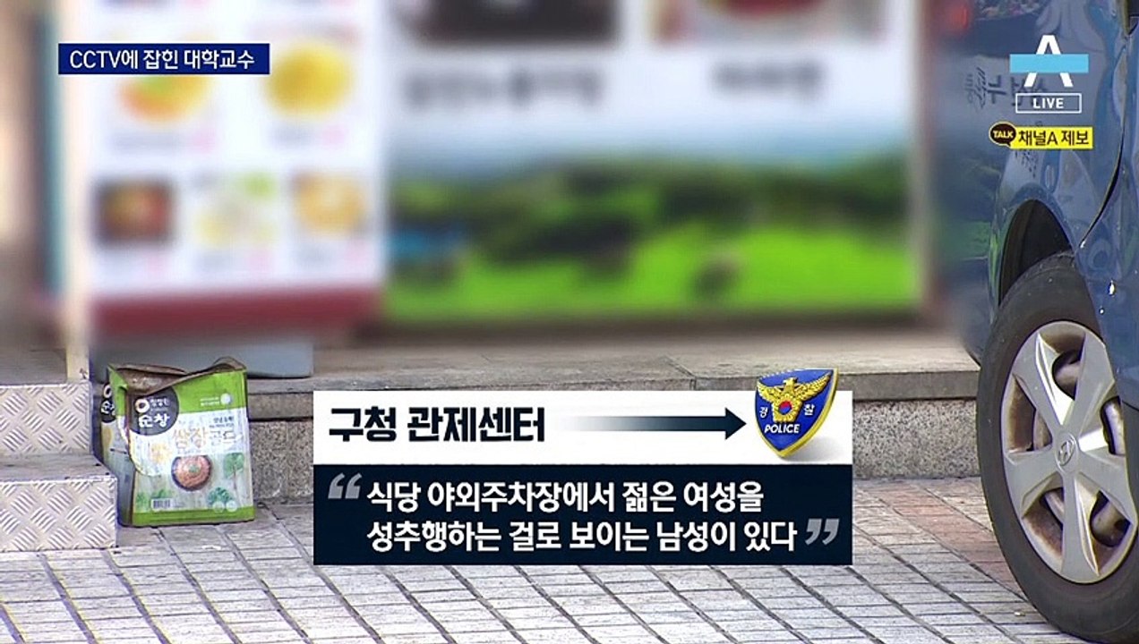 CCTV에 ‘교수의 나쁜 손’ 실시간 포착…구청 직원이 신고