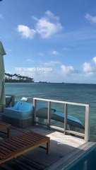 Mafalda Castro: Influencer and Media Personality