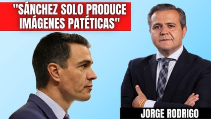 Nuevo ridículo de Sánchez | Jorge Rodrigo (PP): “Solo produce imágenes patéticas”