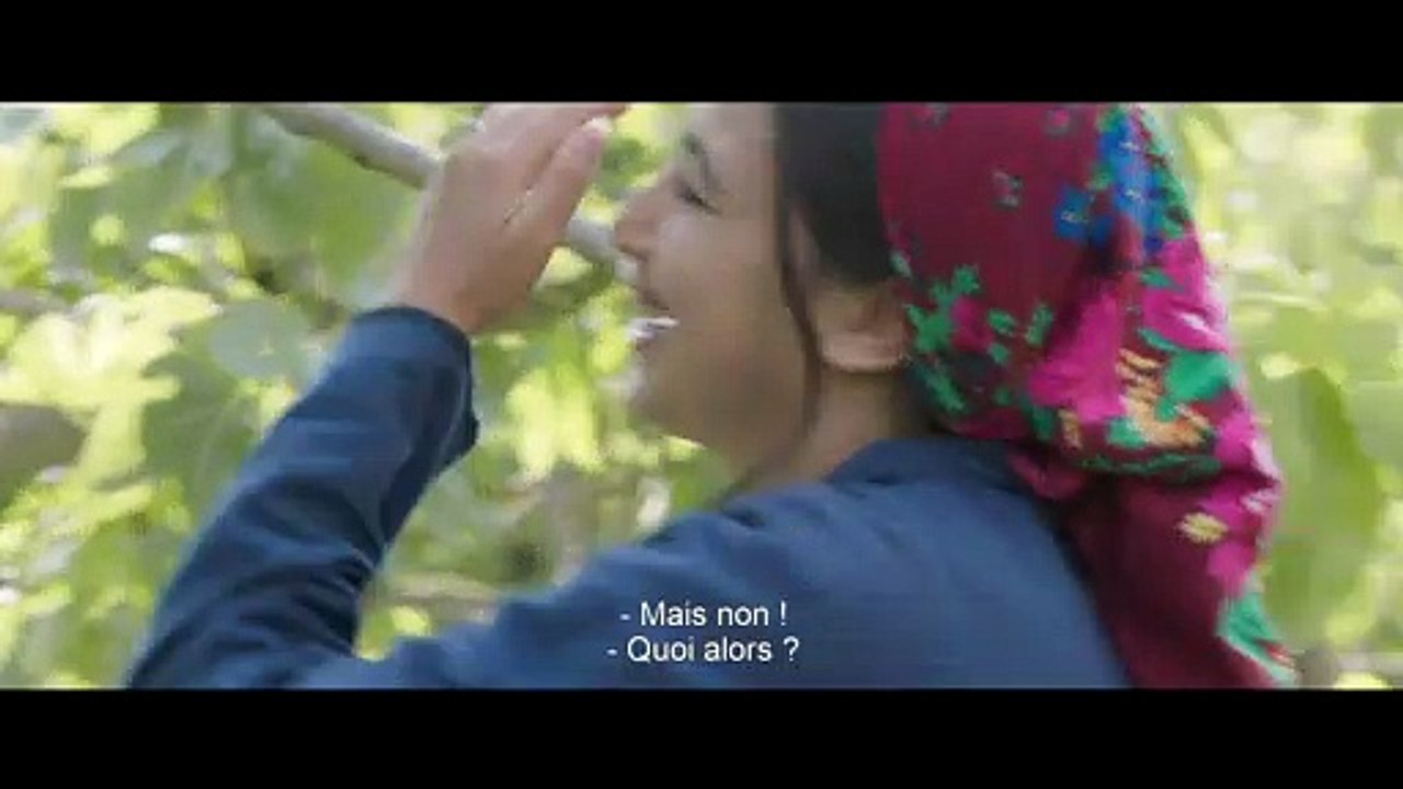 Under the Fig Tree  - Clip 1