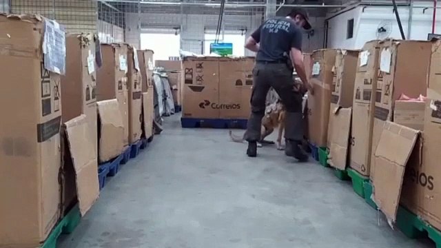 Em uma semana, PF apreende drogas em 10 encomendas postais dos Correios