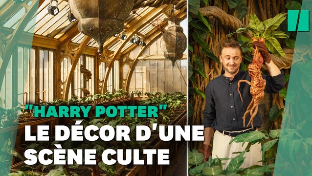 Harry Potter: la serre du Professeur Chourave ouvre au public à Londres