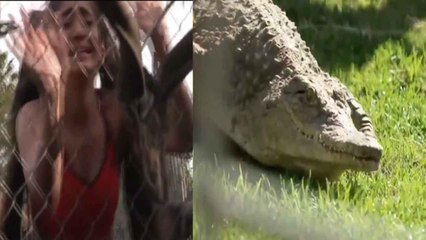 Shivangi Joshi ने दिखाया KKK 12 में अपना जलवा ,भूखे मगरमच्छ से लड़ पड़ी  |  FilmiBeat *TV