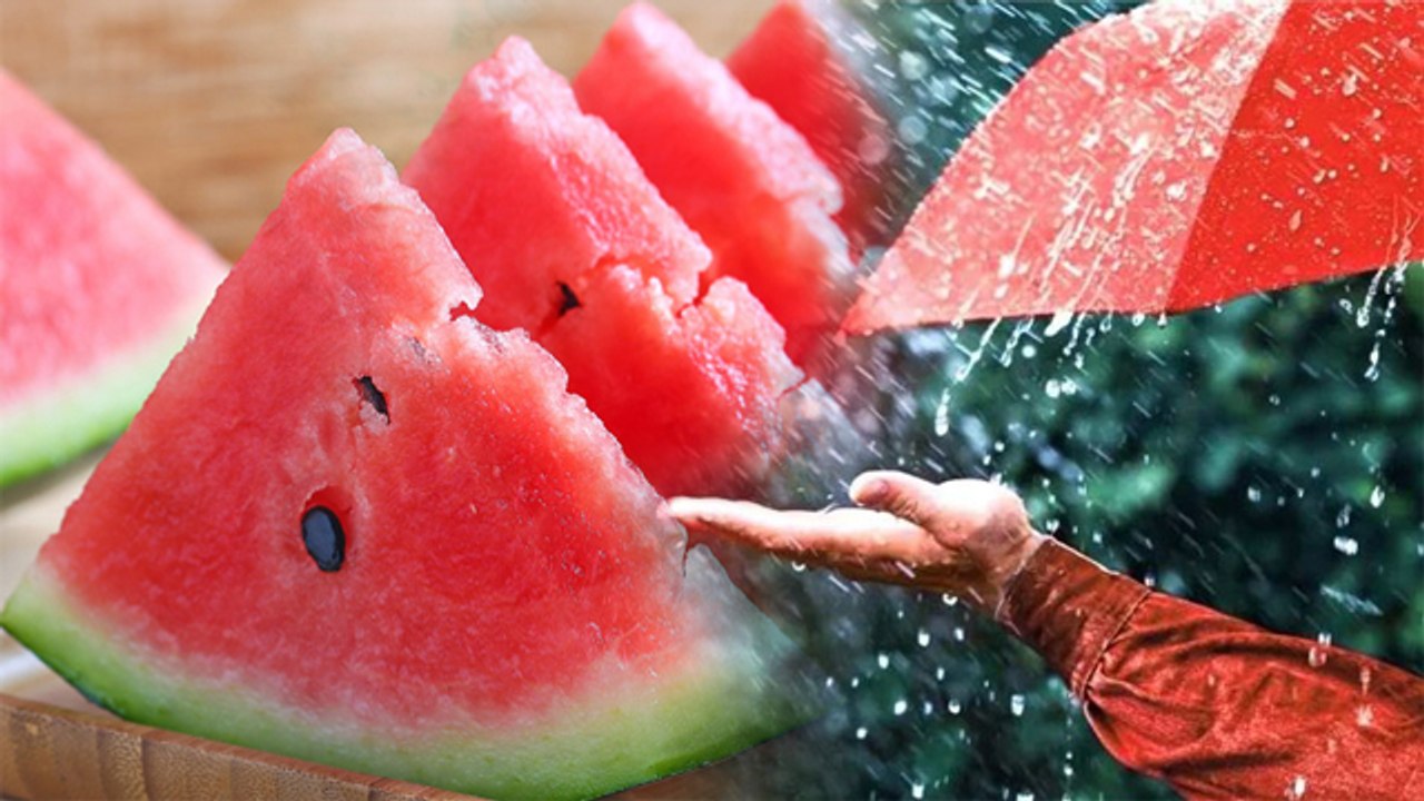बारिश में तरबूज खाना चाहिए या नहीं | Monsoon Me Watermelon Khana Chahiye ya Nahi | Boldsky * Health