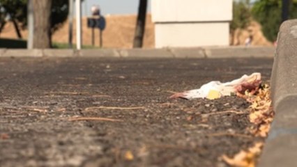 Fallece la joven de 19 años acuchillada por su expareja en Parla