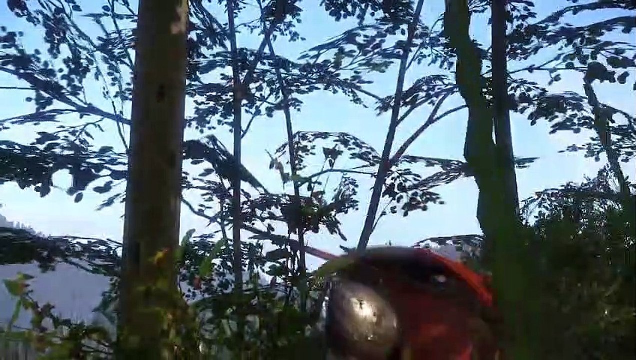 Auf dem Weg nach Sasau. Kingdom Come: Deliverance #33 (Part 3) (Part 3)