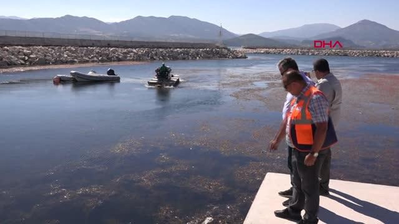 EĞİRDİR GÖLÜ'NDE LİMAN TEMİZLİĞİ