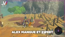 Daily : Zelda Breath of the Wild a enfin un mode online !