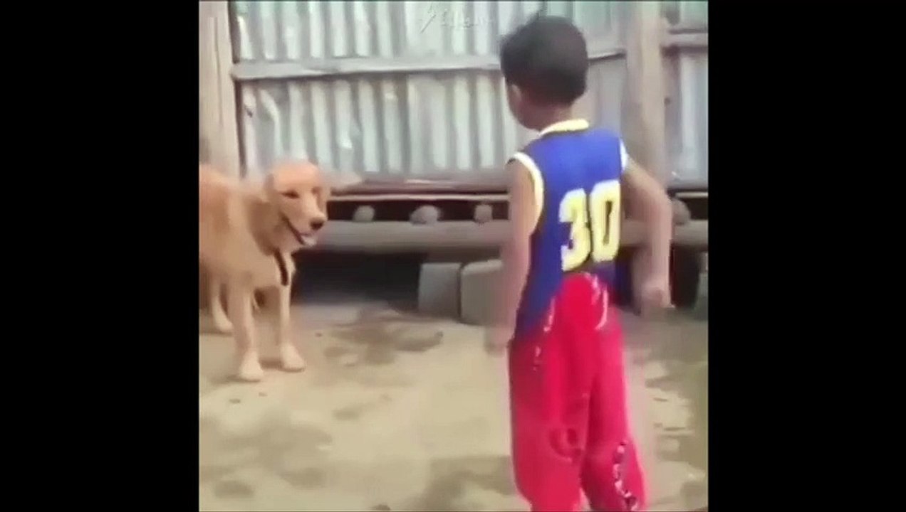 Cet enfant n'aurait pas du embeter le chien... Retour de karma