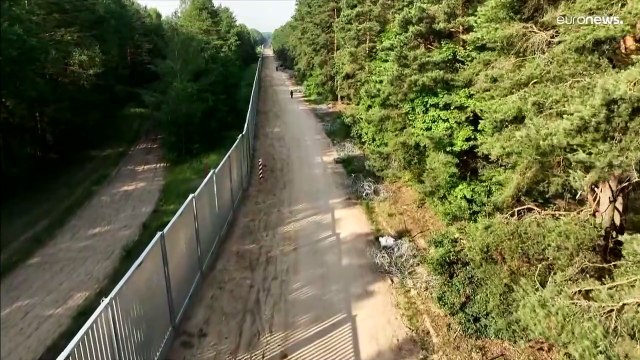 Польша отгородилась от Беларуси 5-метровой стеной