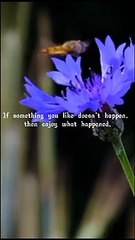 motivation to get back up when you don't get what you want