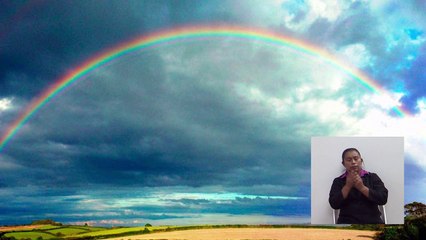 Lengua y literatura de 2do  Grado (2 y 3 de Julio)