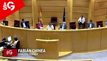 Intervención del senador por la Agrupación Socialista Gomera⁣ Fabián Chinea