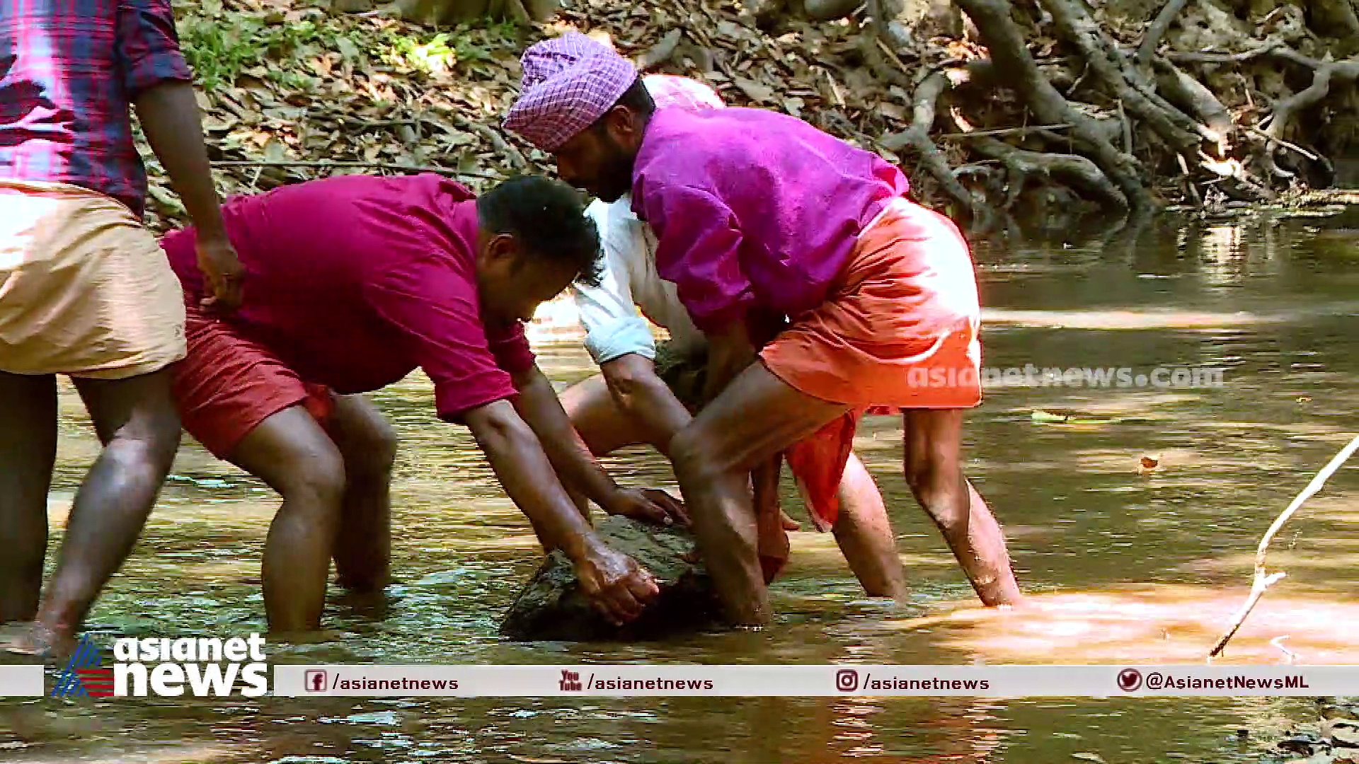 Chekadi Crab : ഞണ്ടുകളുടെ നാട്ടിൽ ഒരു ഇടവേള