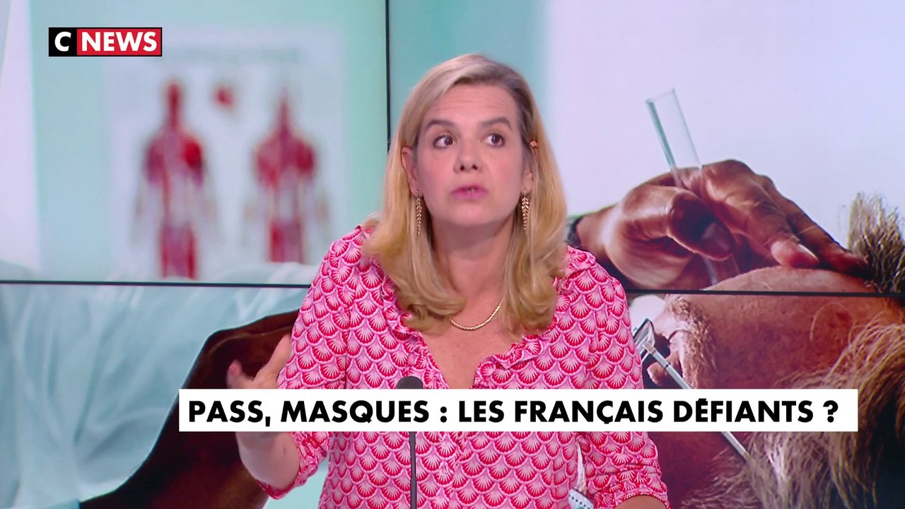 Gabrielle Cluzel  : «On dit qu'on va rétablir le pass sanitaire aux frontières alors qu'elles sont ouvertes à tous vents»