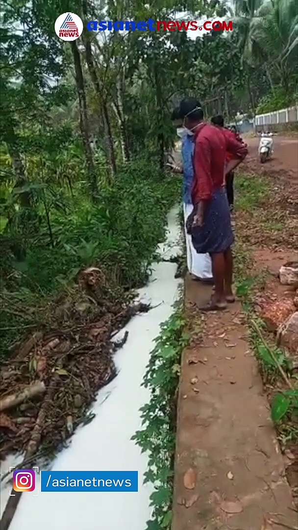 7,900 ലിറ്റര്‍ പാല്‍ തോട്ടില്‍; മില്‍മയുടെ ടാങ്കര്‍ ലോറി തലകീഴായി മറിഞ്ഞു