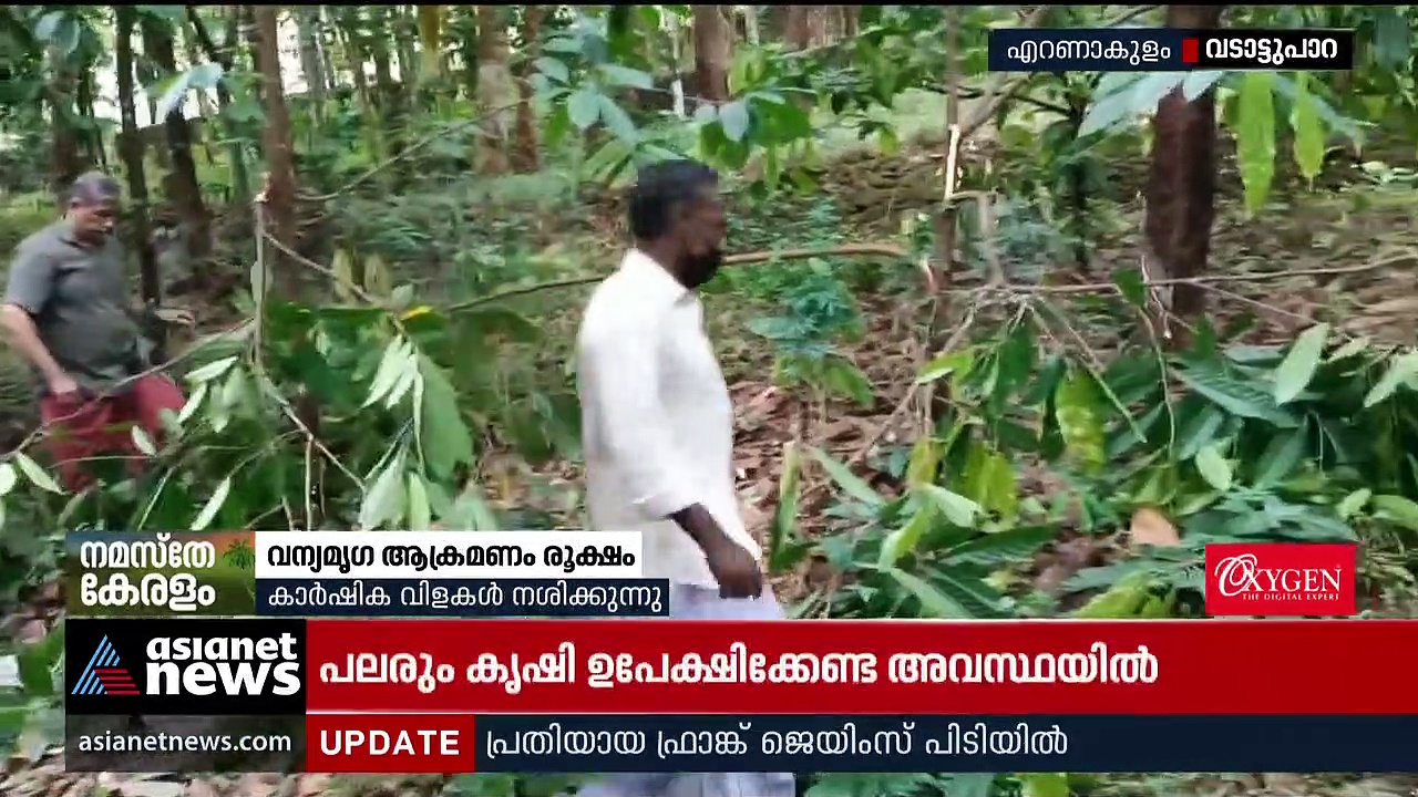 വന്യമൃഗങ്ങളുടെ ആക്രമണത്തിൽ വലഞ്ഞ് നാട്ടുകാർ