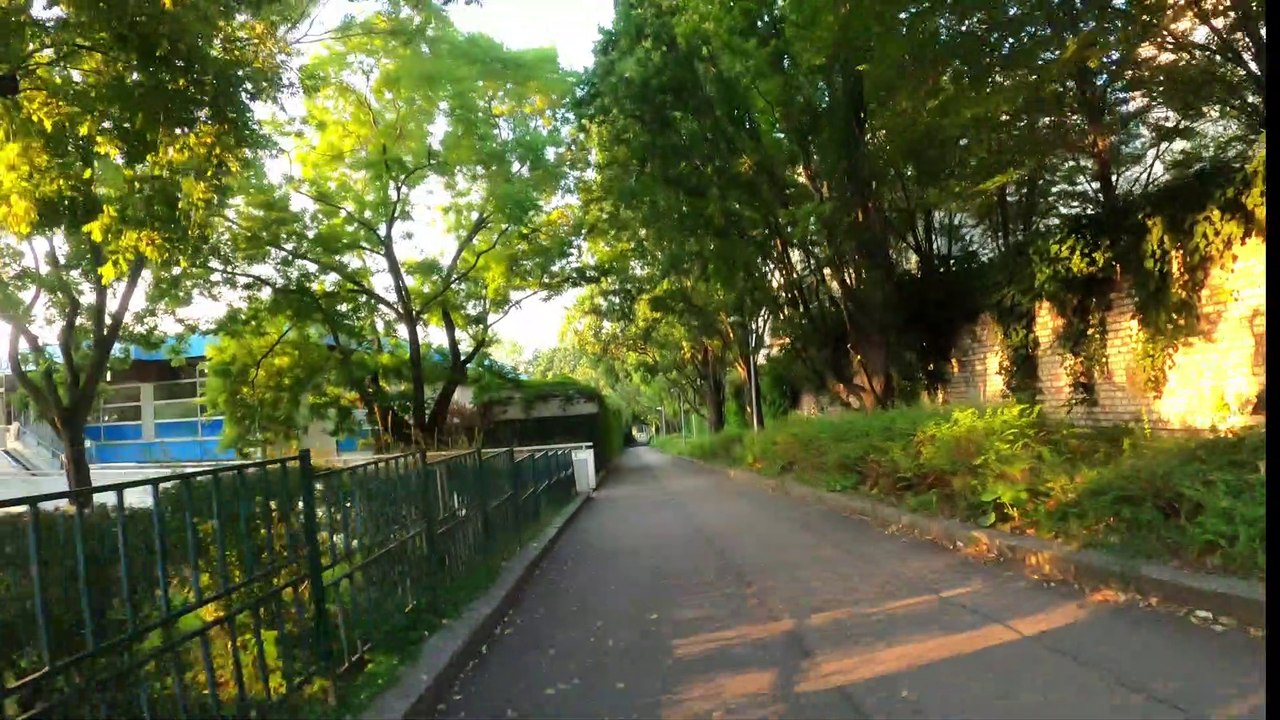 Wien Döbling am Rad: Hohe Warte frühmorgens