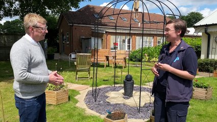 Summer pet advice: Keeping your dog safe in the summer heat