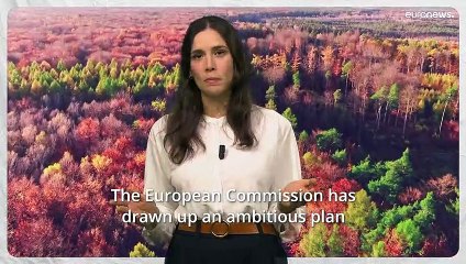 Five good news stories: a break from climate anxiety, the EU country sponsoring newer tech and more