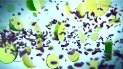 BIOSKOP TRANSTV Movie (Rerun) THE HURRICANE HEIST