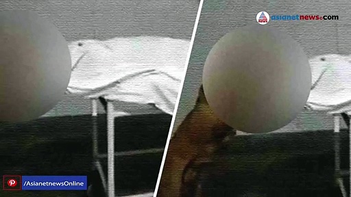 പെൺകുട്ടിയുടെ മൃതദേഹം കടിച്ചുവലിച്ച് തെരുവുനായ; വിവാദമായി വീഡിയോ