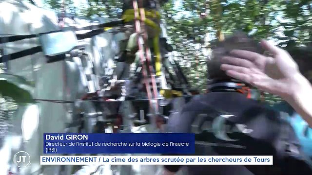 ENVIRONNEMENT / La cîme des arbres scrutée par les chercheurs de Tours