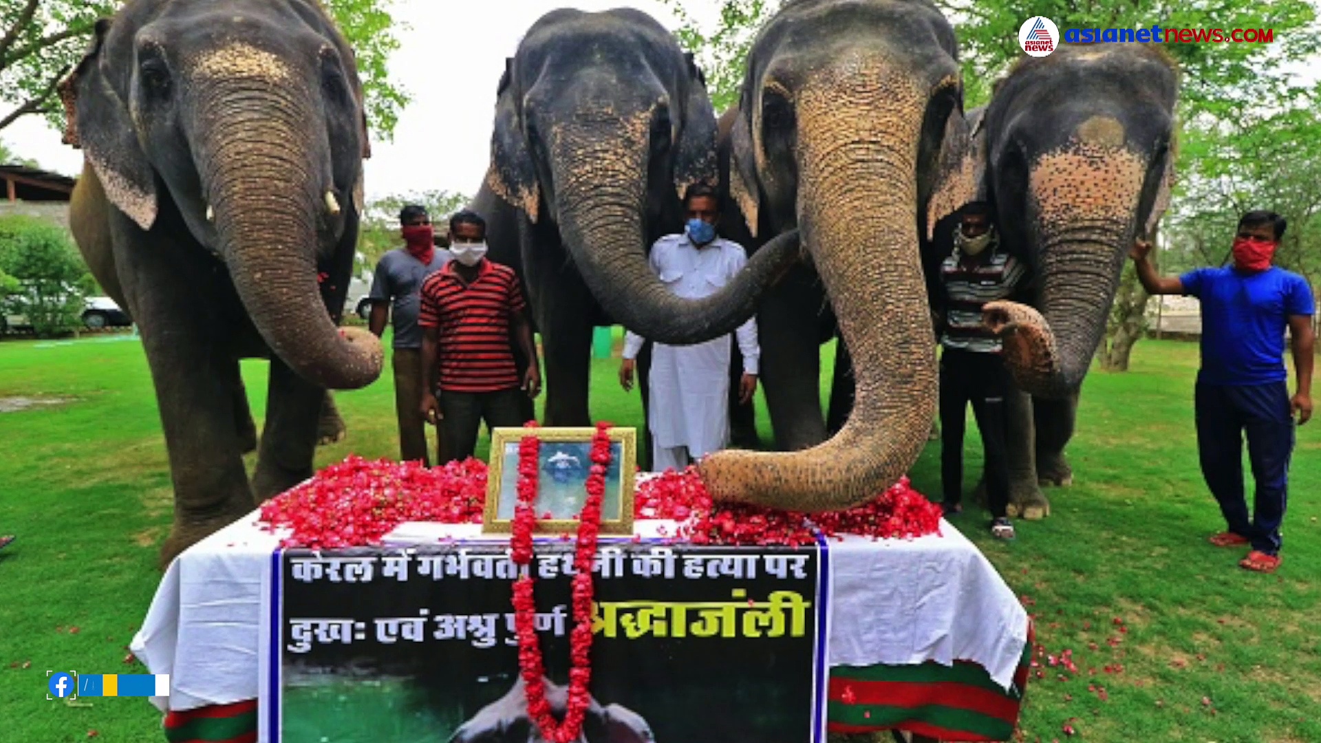 Elephant Deaths : പത്ത് വര്‍ഷത്തിനിടെ വൈദ്യുതാഘാതമേറ്റ് ചരിഞ്ഞത് 600 ആനകള്‍; ഏറ്റവും കൂടുതല്‍ ഒഡീഷയില്‍