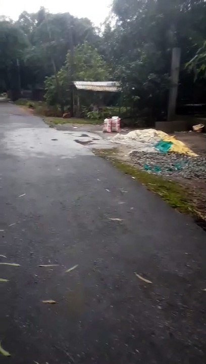 Short video