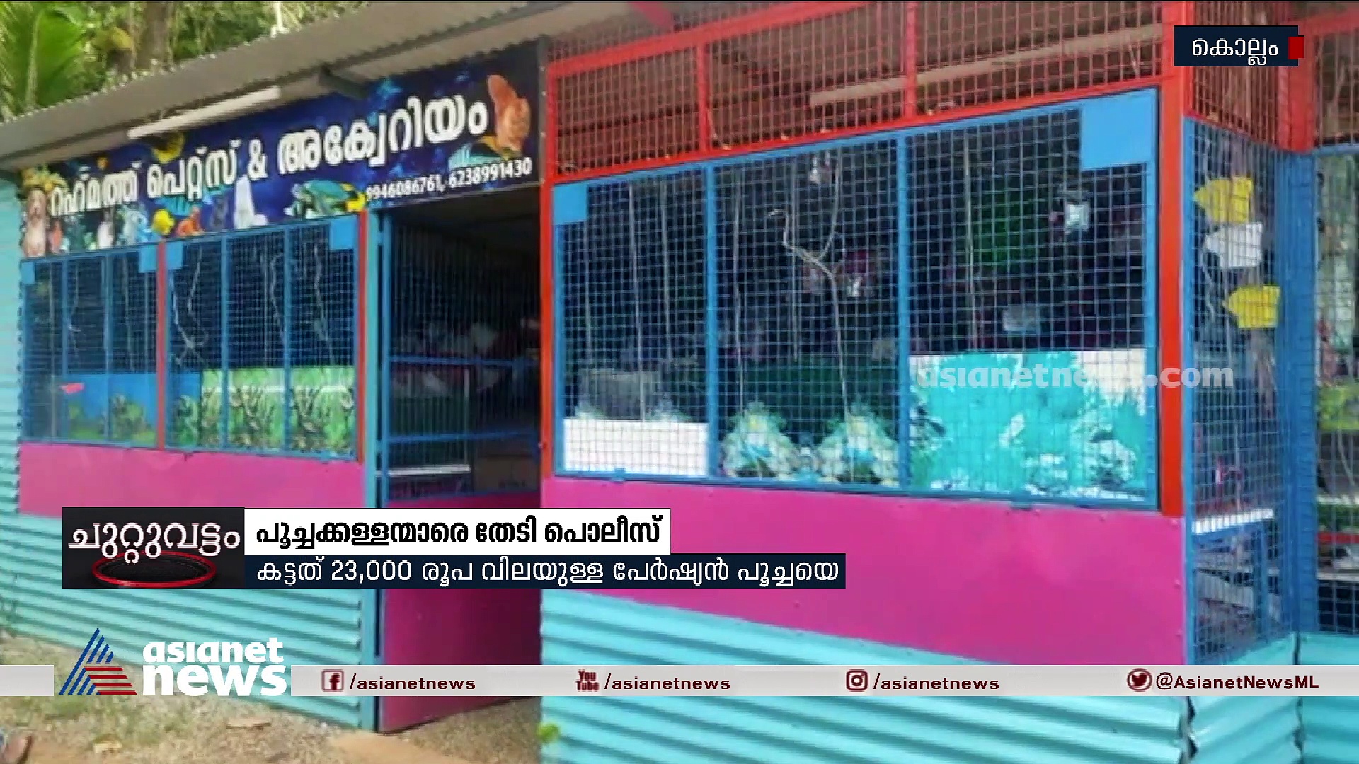 പെറ്റ് ഷോപ്പ് കുത്തിത്തുറന്ന് 'പൂച്ചക്കള്ളന്മാർ'!