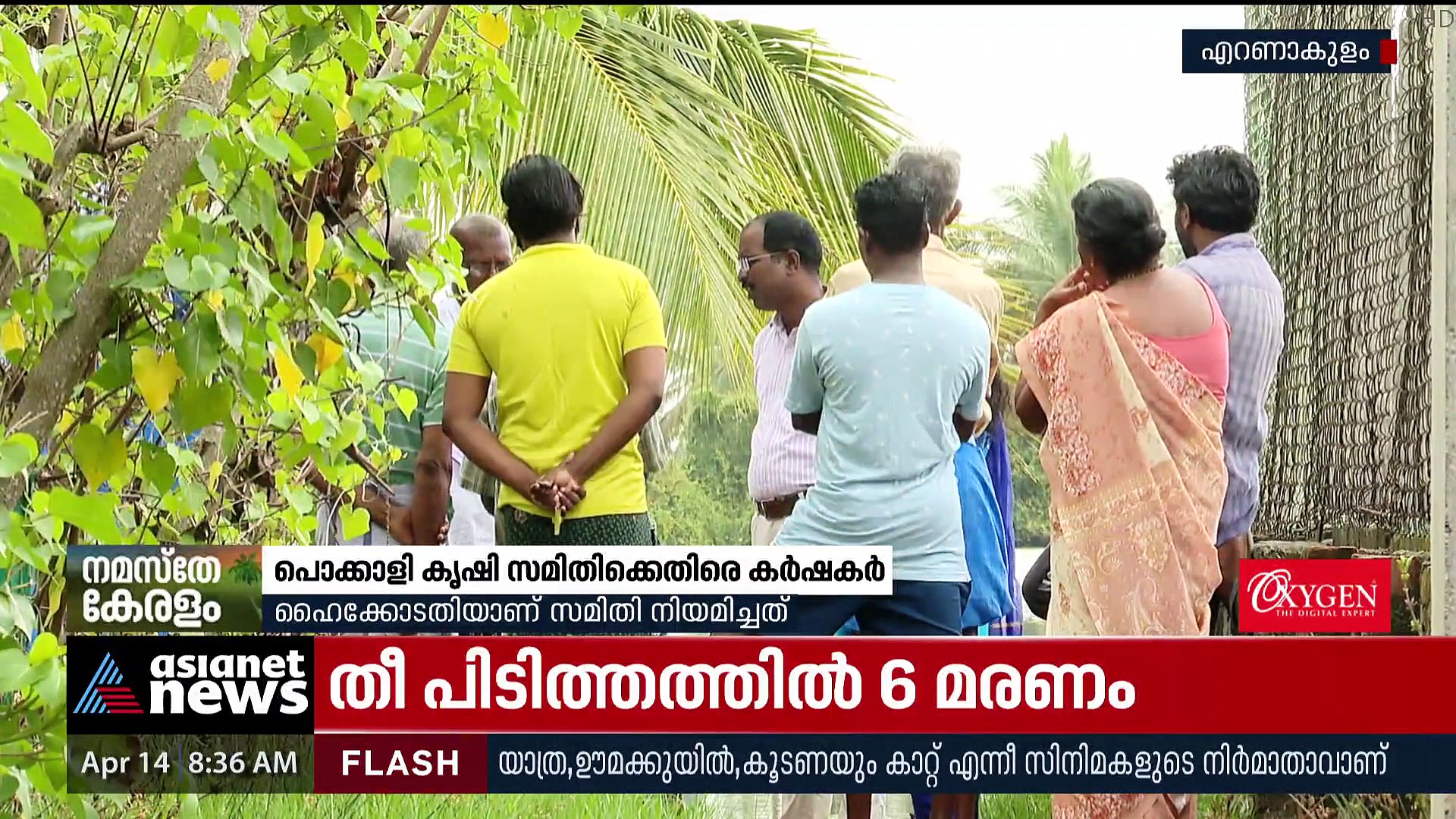 പൊക്കാളി കൃഷി സമിതിക്കെതിരെ കർഷകർ