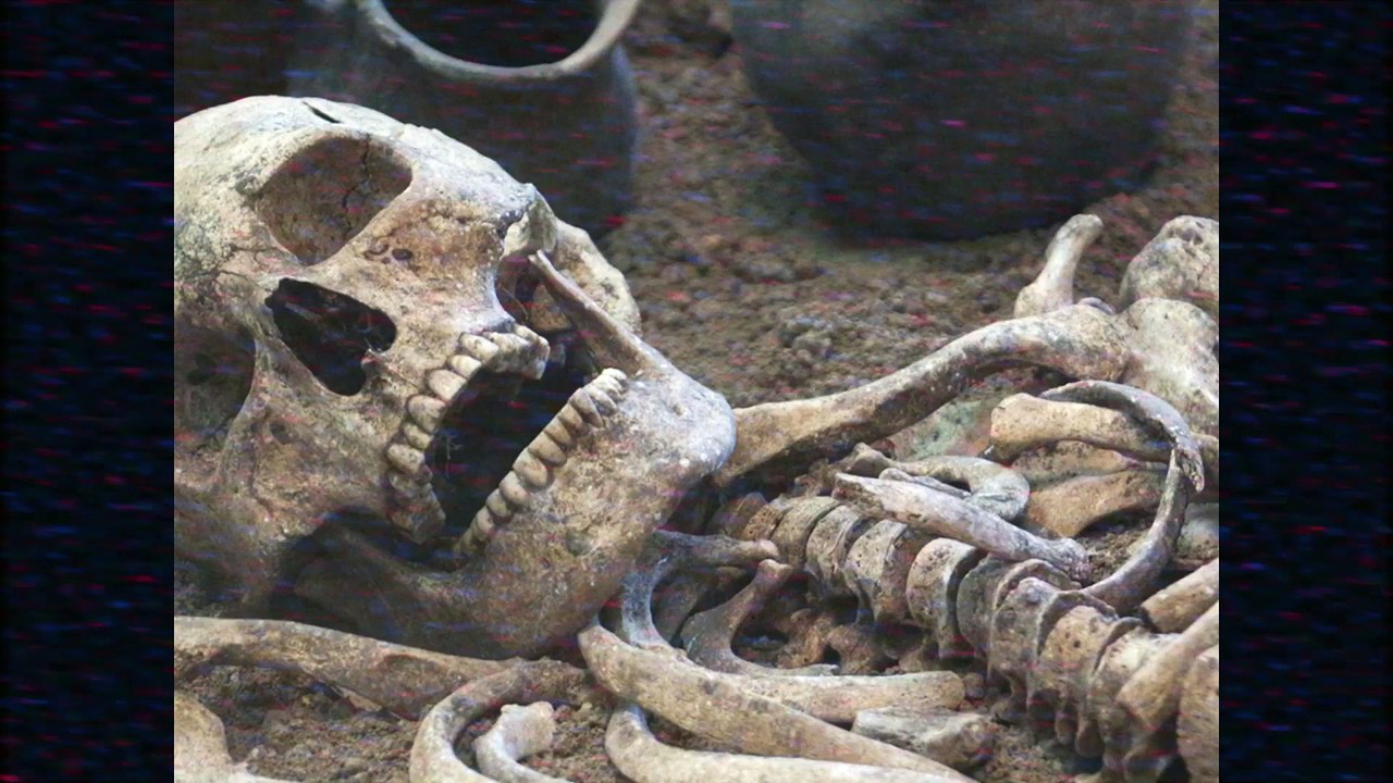 BabyEinsteinLostEpisode.avi: Nightmare Nursery (2022 VHS)