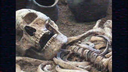 BabyEinsteinLostEpisode.avi: Nightmare Nursery (2022 VHS)