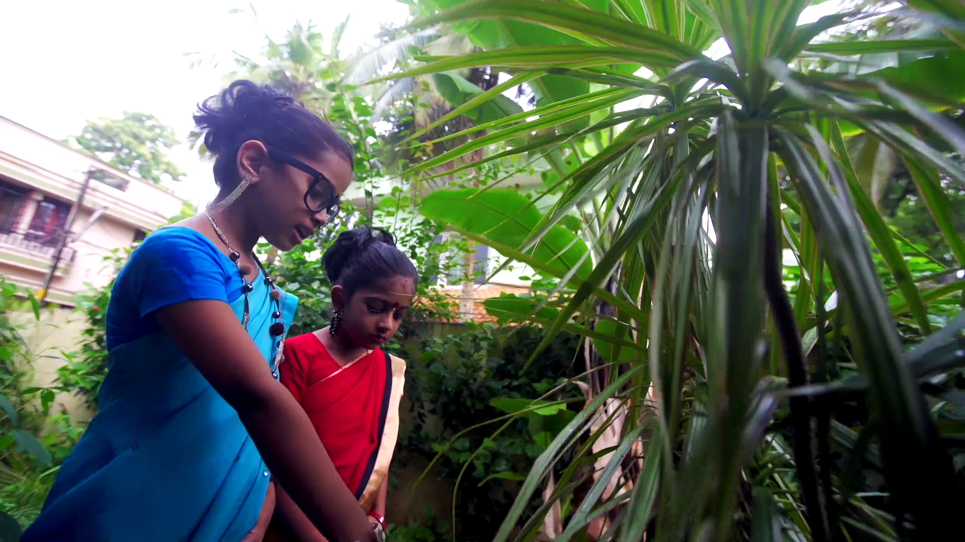 കൊതുകിന്റെ ഉറവിട നശീകരണം ശീലമാക്കണം, കാണാം വീഡിയോ