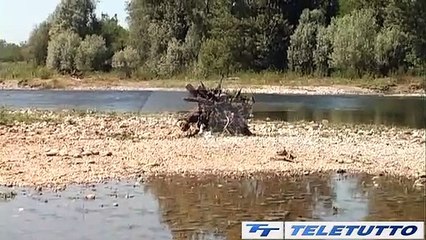 Video News - "ACQUA FINO AL 10 LUGLIO"