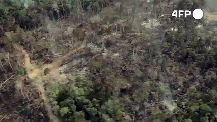 Amazônia Legal registra desmatamento recorde no primeiro semestre