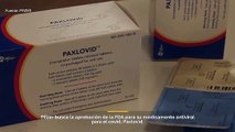 Pfizer busca la aprobación de la FDA de su medicamento antiviral oral Covid-19, Paxlovid.