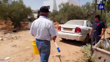 فلسطين موسم كارثي لمزارعي الصبر.. ومحاولات لمكافحة الآفة بالحشرات