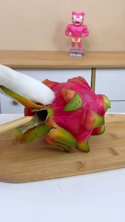 CHEF CAT