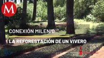 El vivero de la naturaleza en Michoacán | Conexión Milenio