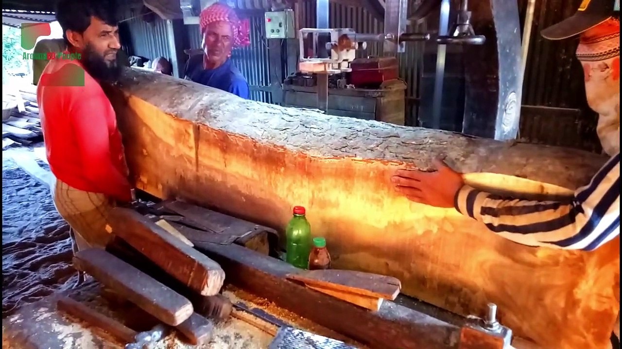 Wood Cutting Biggest Sawmill in Bangladesh - Dangerous Fastest Wood Sawmill Machines Working